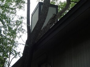 617 Luther Dr in Georgetown, TX - Building Photo - Building Photo