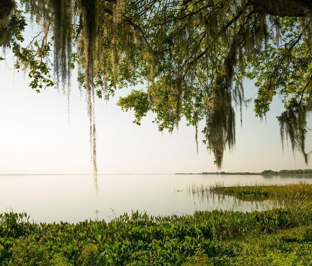 Casas Alquiler en Hiawassee, FL