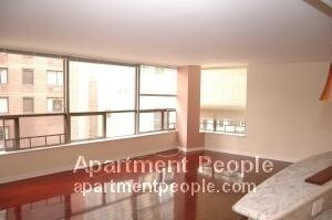 110 E Delaware Pl-Unit -1201 in Chicago, IL - Building Photo