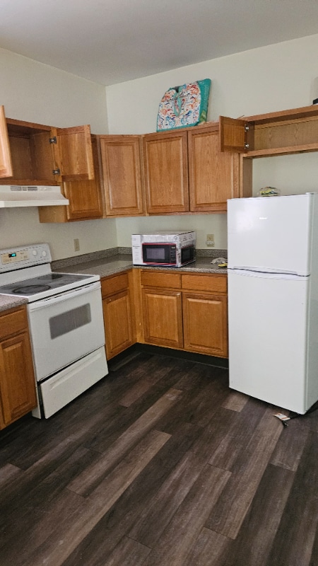 310 Bellevue St in Hartford, CT - Foto de edificio - Building Photo