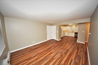 319 Bluff Ave in La Grange, IL - Building Photo - Building Photo