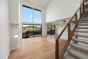 1047 Santa Helena Park Ct in Solana Beach, CA - Building Photo