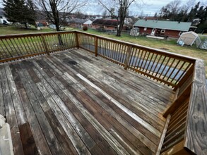 207 Sunnyhill Dr in Campbellsville, KY - Building Photo - Building Photo