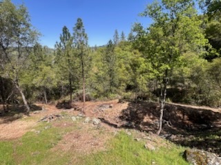 11657 Deerlick Rd in Rough And Ready, CA - Foto de edificio