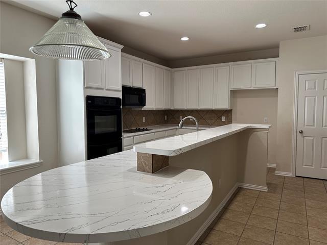 14517 Little Anne Dr in Little Elm, TX - Building Photo - Building Photo