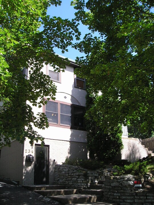 234 Clermont St, Unit 3 in St. Paul, MN - Building Photo