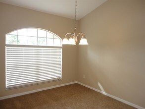 13503 Ironton Dr in Tampa, FL - Building Photo - Building Photo