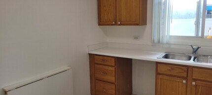 240 N Carter St in Palatine, IL - Building Photo - Building Photo