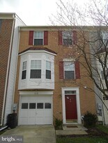 113 Pinecove Ct in Odenton, MD - Building Photo