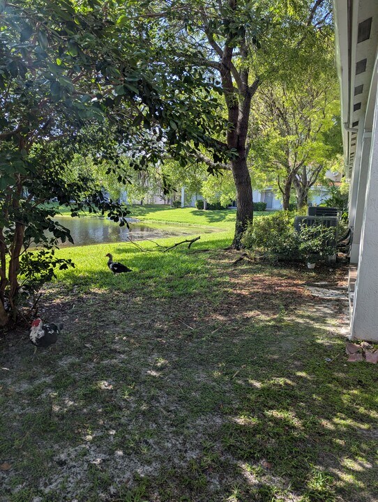 2574 SW 82nd Ave in Miramar, FL - Building Photo