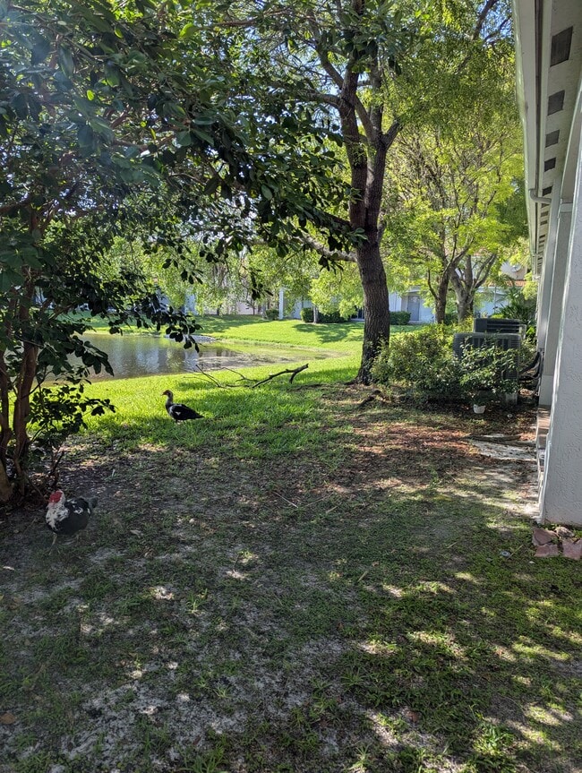 property at 2574 SW 82nd Ave