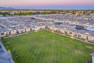 Christopher Todd Communities at Stadium in Glendale, AZ - Foto de edificio - Building Photo