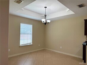 2317 Llano Molano Ln in Edinburg, TX - Building Photo - Building Photo
