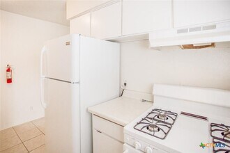 1239 N LBJ Dr in San Marcos, TX - Building Photo - Building Photo