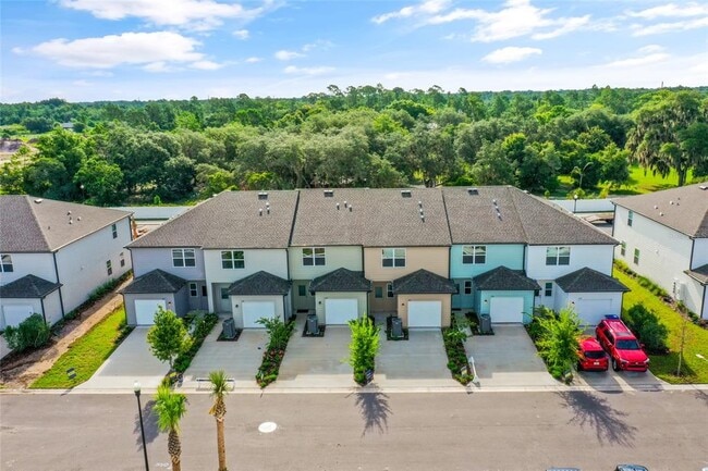 358 Cadberry Pl in St. Cloud, FL - Building Photo - Building Photo