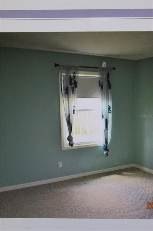 13735 Juniper Blossom Dr in Tampa, FL - Building Photo - Building Photo