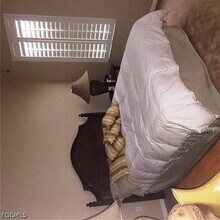 16550 Goldenrod Ln in Alva, FL - Building Photo - Building Photo
