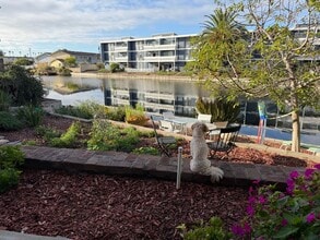 867 Walnut St in Alameda, CA - Building Photo - Building Photo