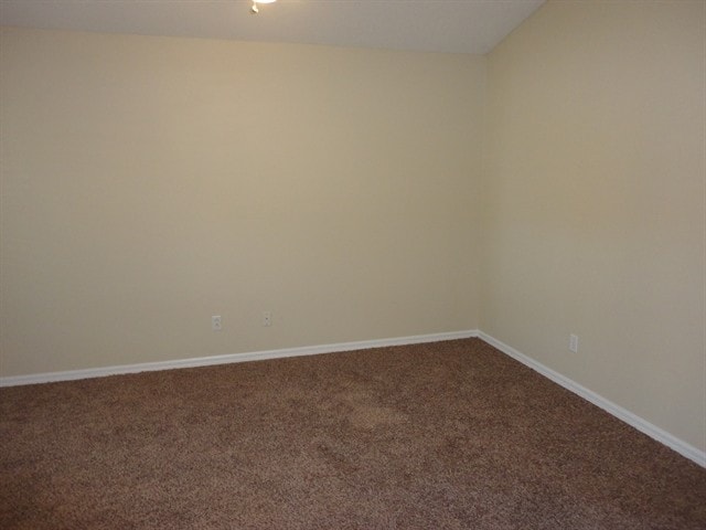 1212 Dragon Head Dr in Valrico, FL - Building Photo - Building Photo