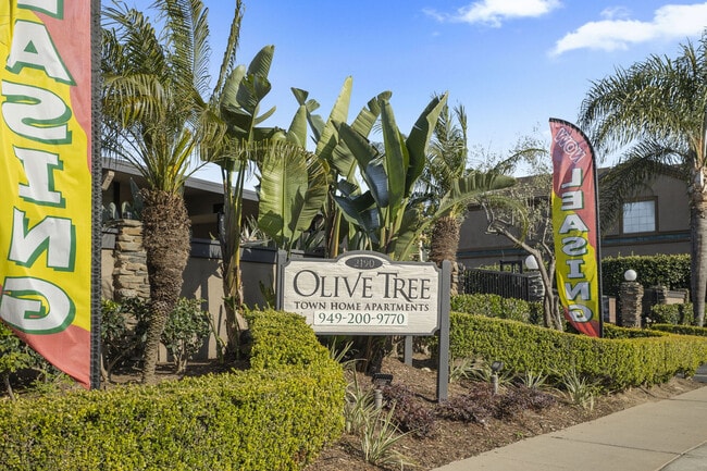 Olive Tree