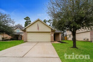 21419 Palma Grove Way in Houston, TX - Building Photo