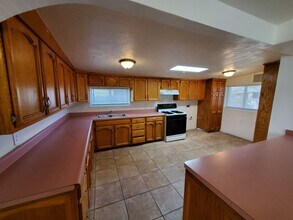 341 W Calle Margarita in Tucson, AZ - Building Photo - Building Photo