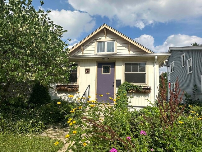 property at 37 Corry St
