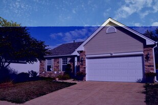 354 Birchwood Crossing Ln in Maryland Heights, MO - Building Photo