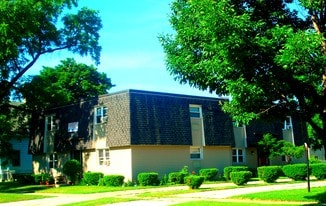 513 N River Ave, Unit 4 in Alma, MI - Building Photo