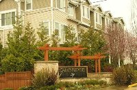 Cambridge Townhomes