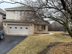 229 Shea Dr in Flossmoor, IL - Building Photo
