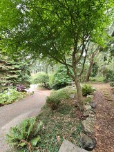 3224 73rd Ave Ct NW in Gig Harbor, WA - Building Photo - Building Photo
