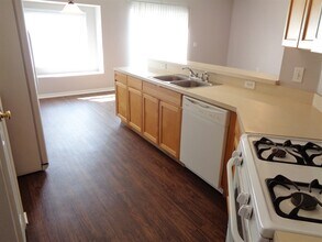 3823 Lockridge Dr in Land O Lakes, FL - Foto de edificio - Building Photo