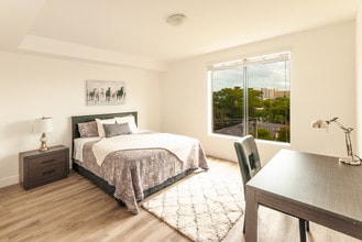 26 Santillane Ave in Coral Gables, FL - Building Photo - Building Photo