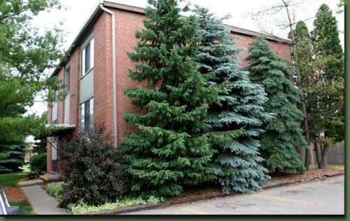 Jo Don Apartments in East Lansing, MI - Building Photo