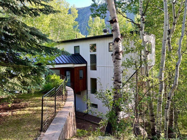 262 Eastwood Rd in Aspen, CO - Building Photo - Building Photo