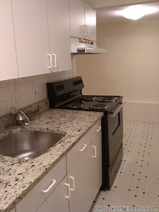 208 Winthrop Rd in Brookline, MA - Building Photo