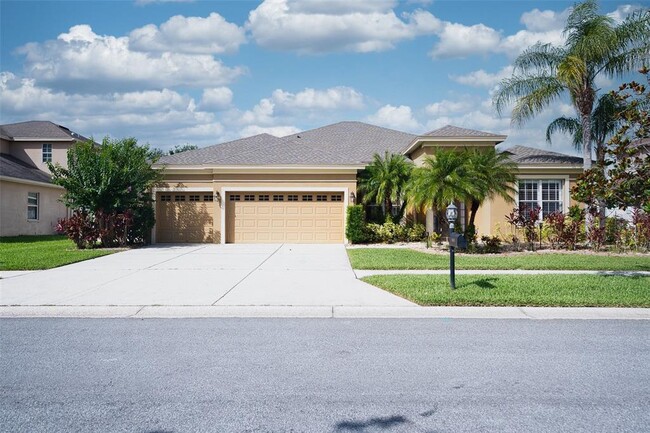 10513 Palm Cove Ave in Tampa, FL - Building Photo - Building Photo