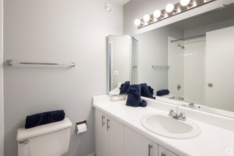 381 E Ohio St in Chicago, IL - Building Photo - Building Photo