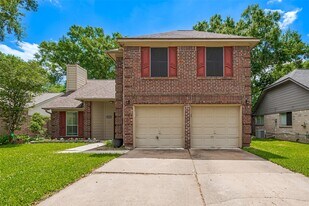 1103 Cheyenne Meadows Dr in Katy, TX - Building Photo
