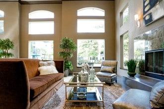 Hadley Midtown in Houston, TX - Building Photo - Interior Photo