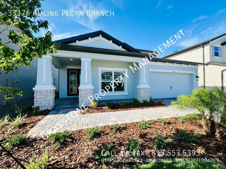 33176 Amling Pecan Br in Wesley Chapel, FL - Building Photo