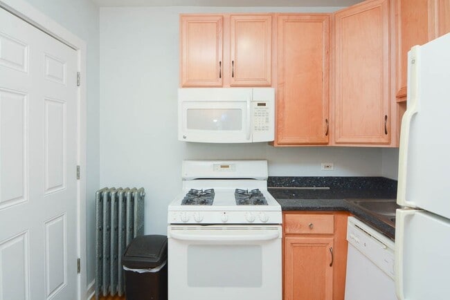 2922 N Sacramento Ave in Chicago, IL - Building Photo - Building Photo