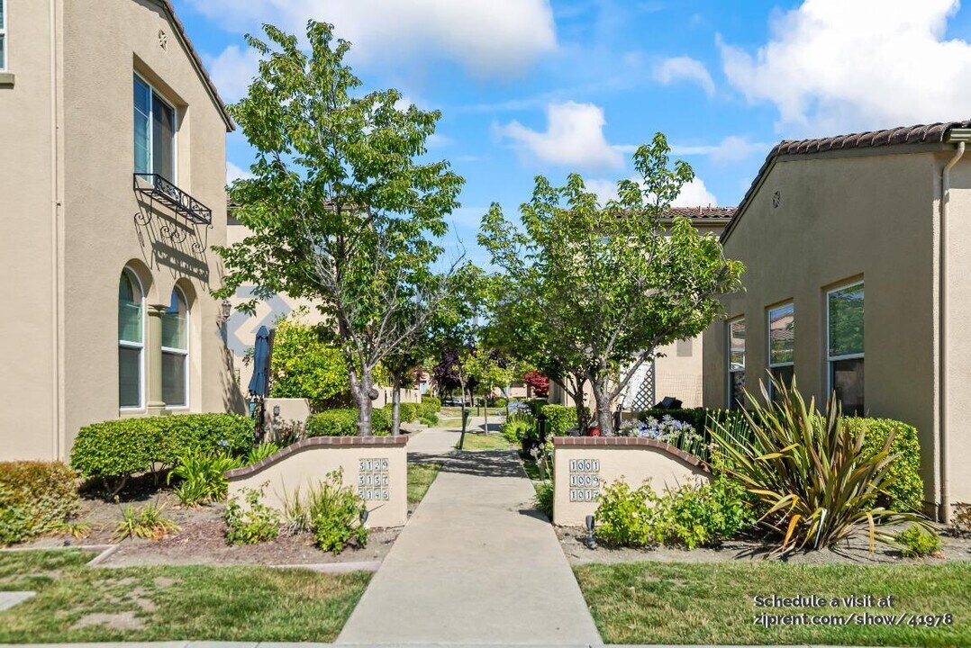 3137 Cedarwood Loop in San Ramon, CA - Building Photo