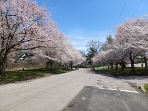 1720 Memorial Ave, Unit Three in Philadelphia, PA - Building Photo - Building Photo