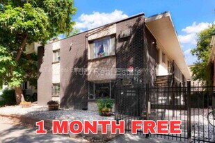 970 N Downing St in Denver, CO - Building Photo