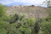 6655 N Canyon Crest Dr