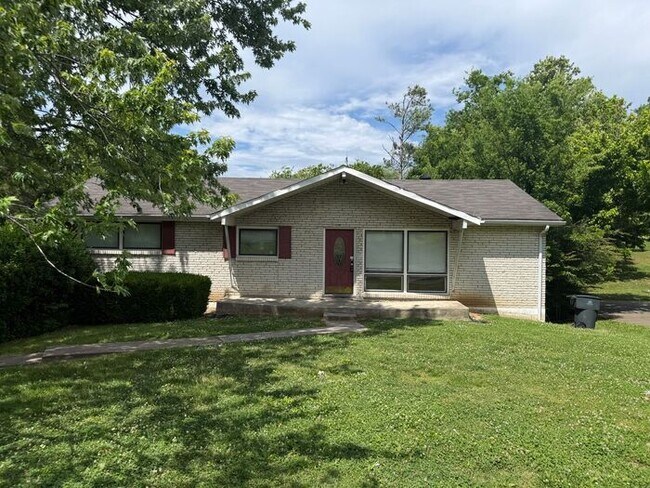property at 256 Willow Ln