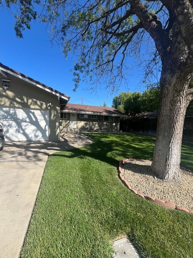 property at 1905 Silvaire Dr
