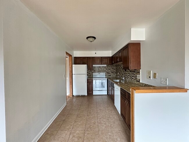 1004 S River Rd in Des Plaines, IL - Building Photo - Building Photo